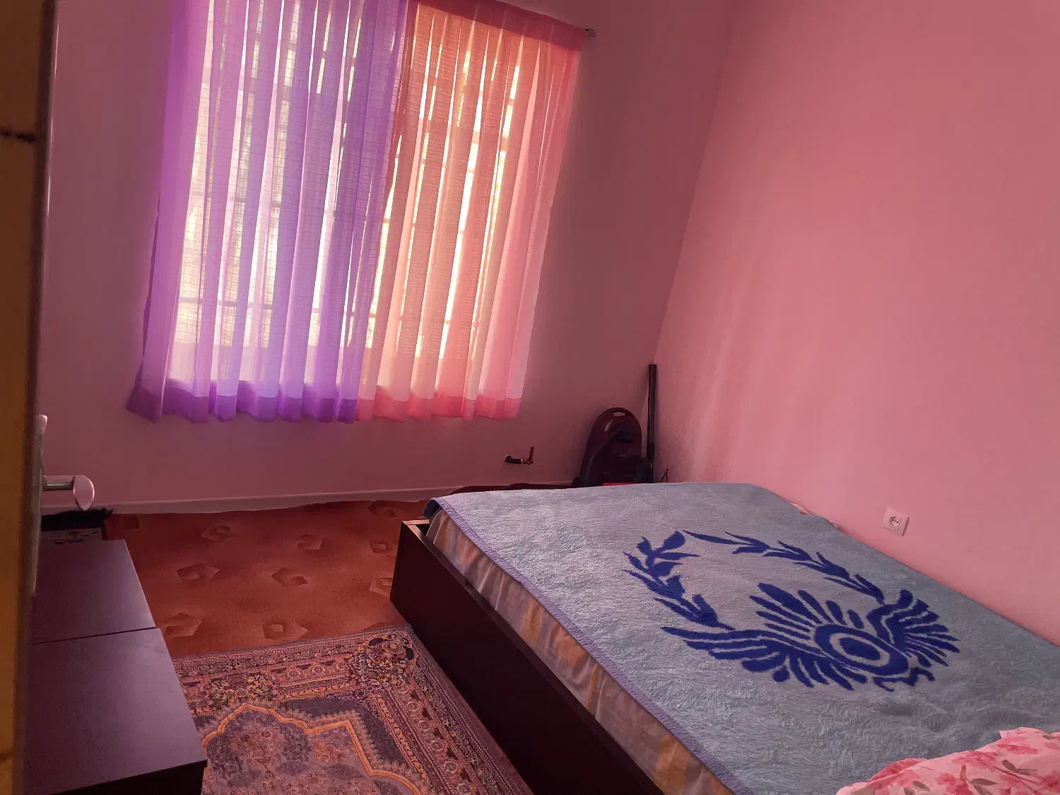 اجاره باغچه صفادشت ارسطو