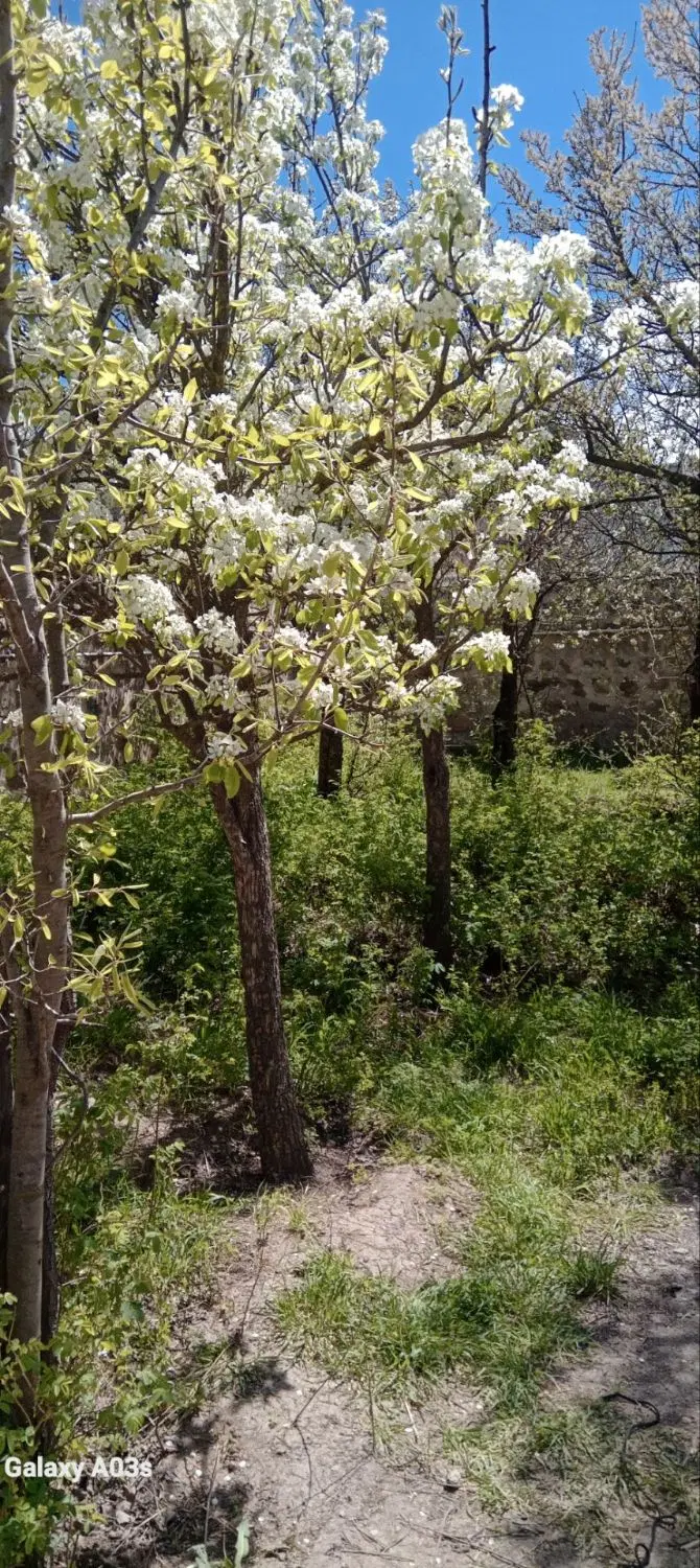 فروش خانه ویلایی