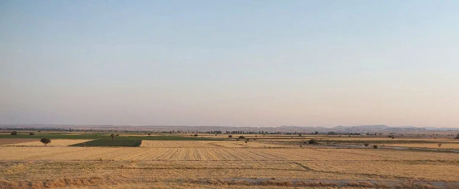اجاره زمین کشاورزی ۱ هکتار