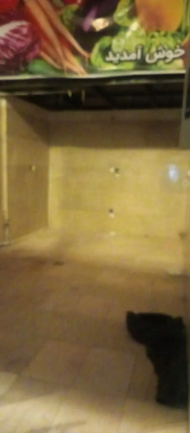 مغازه ۲۰ متری