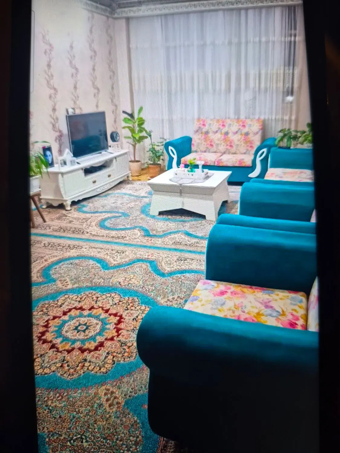 زیتون چهارفول بازسازی