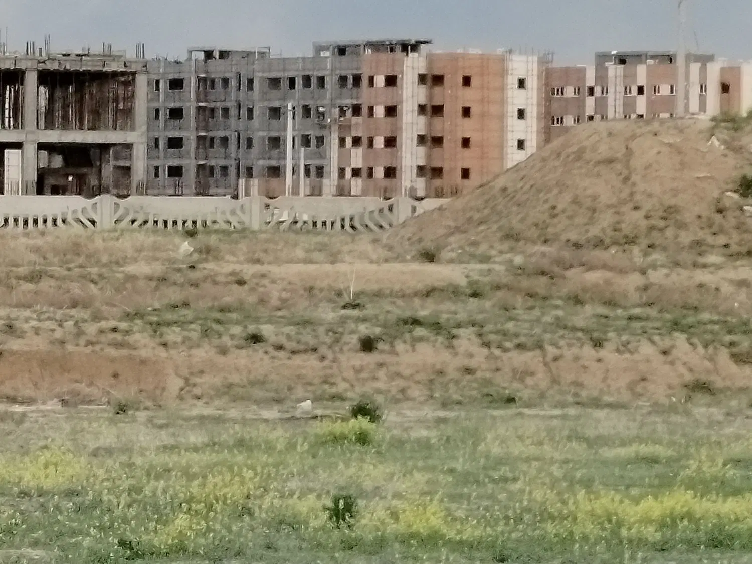 زمین جنوبی صیاد. . دو دانگ