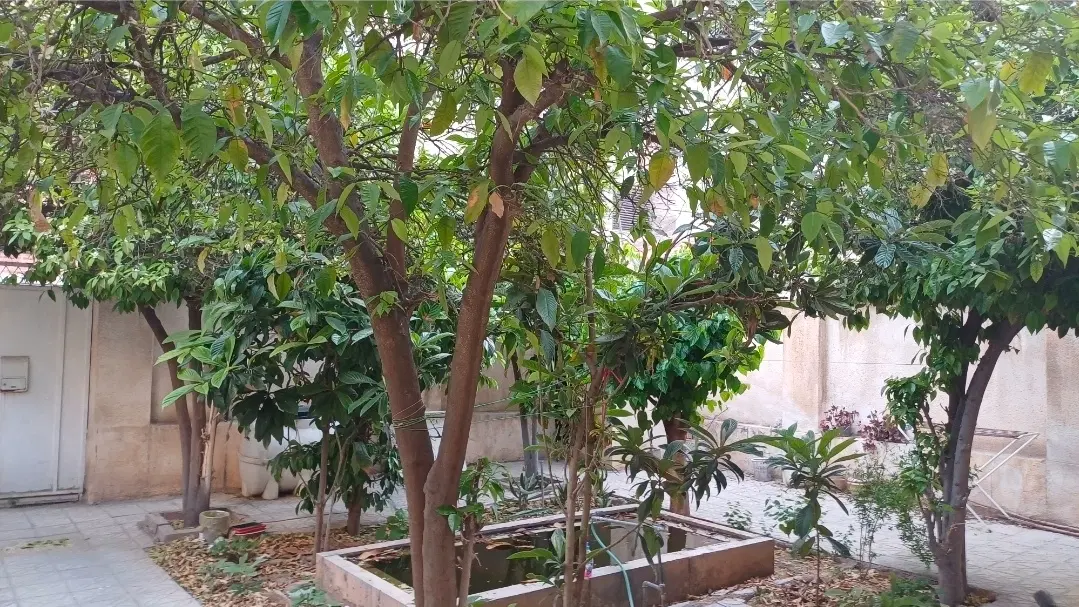 فروش ملک ۲۱۰ متر کلنگی M4 دسترسی عالی خیابان نادر