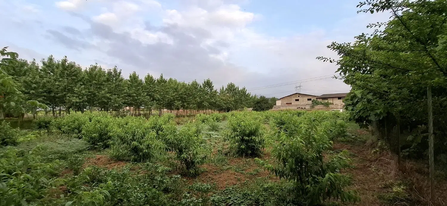 باغ و زمین کشاورزی