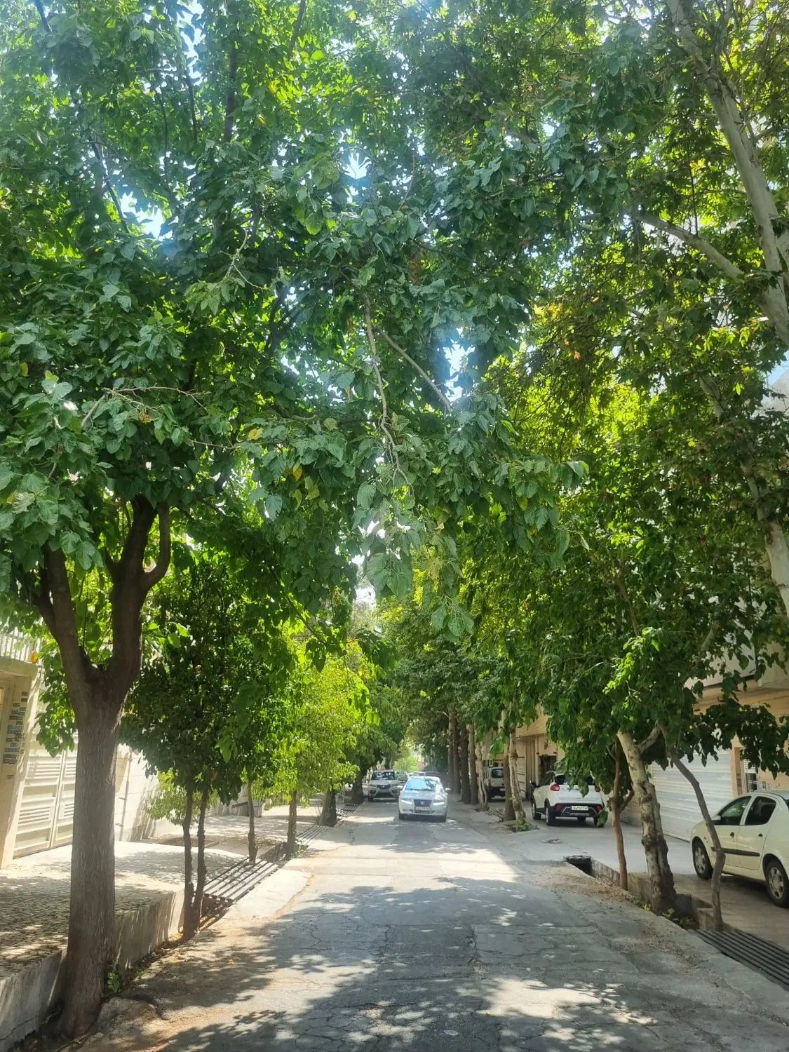 آپارتمان دو خوابه جماران