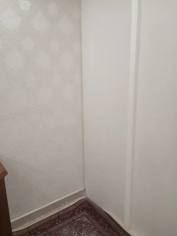 کلنگی