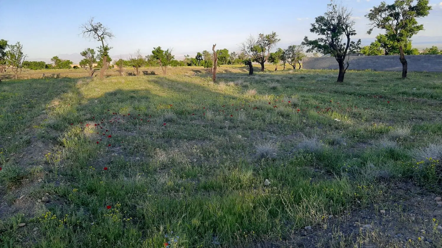 زمین در روستای توریستی سرکندیزج