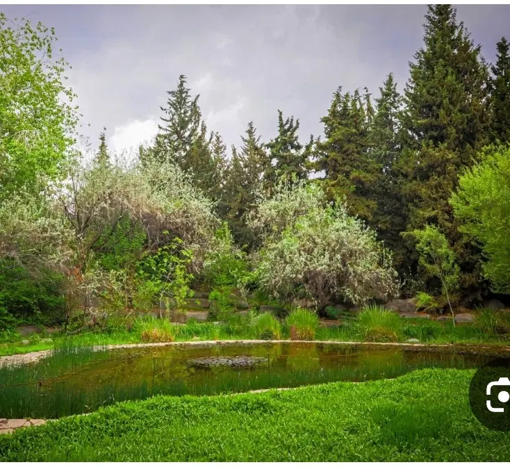 امام زاده بر نیلوفر