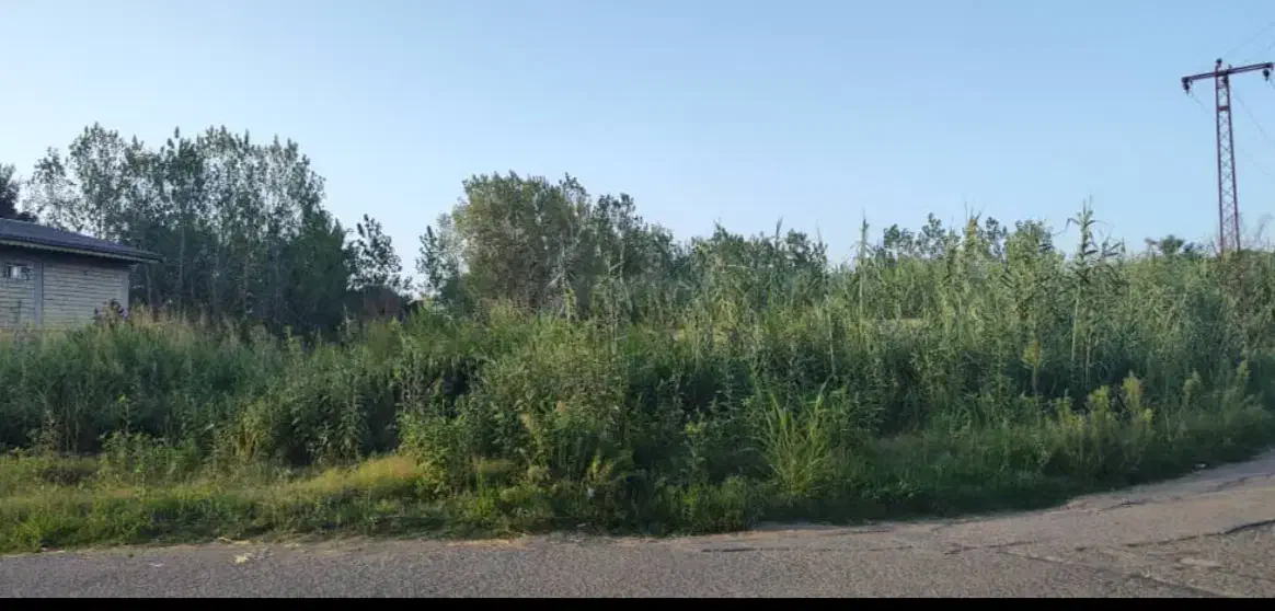 زمین سند تک برگ پروانه ساخت