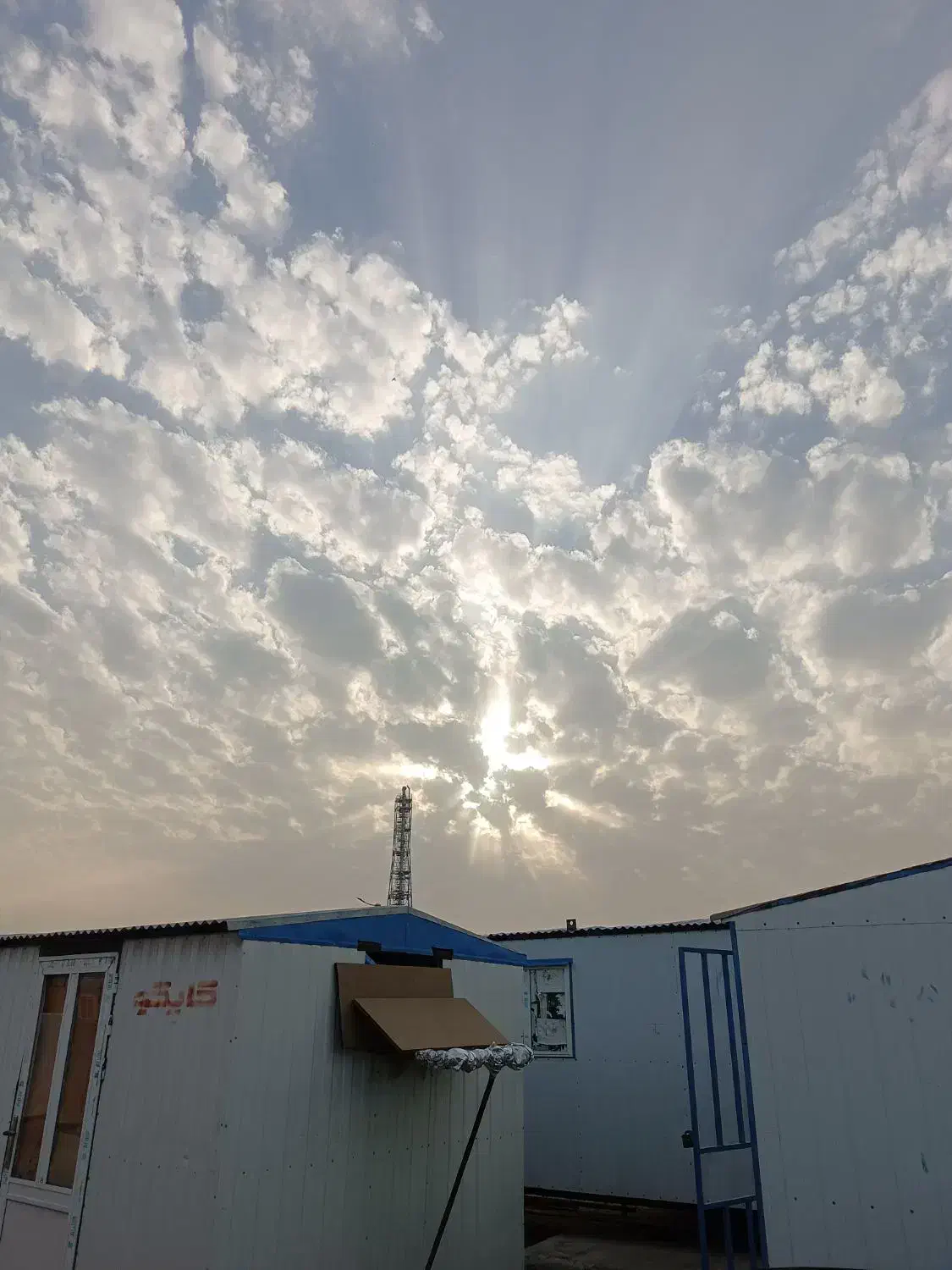 شادگان