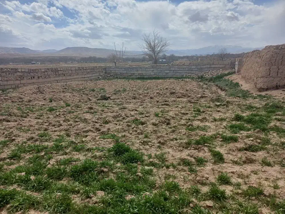 ۱۰۰ متر کوی جانبازان پژوهش یک