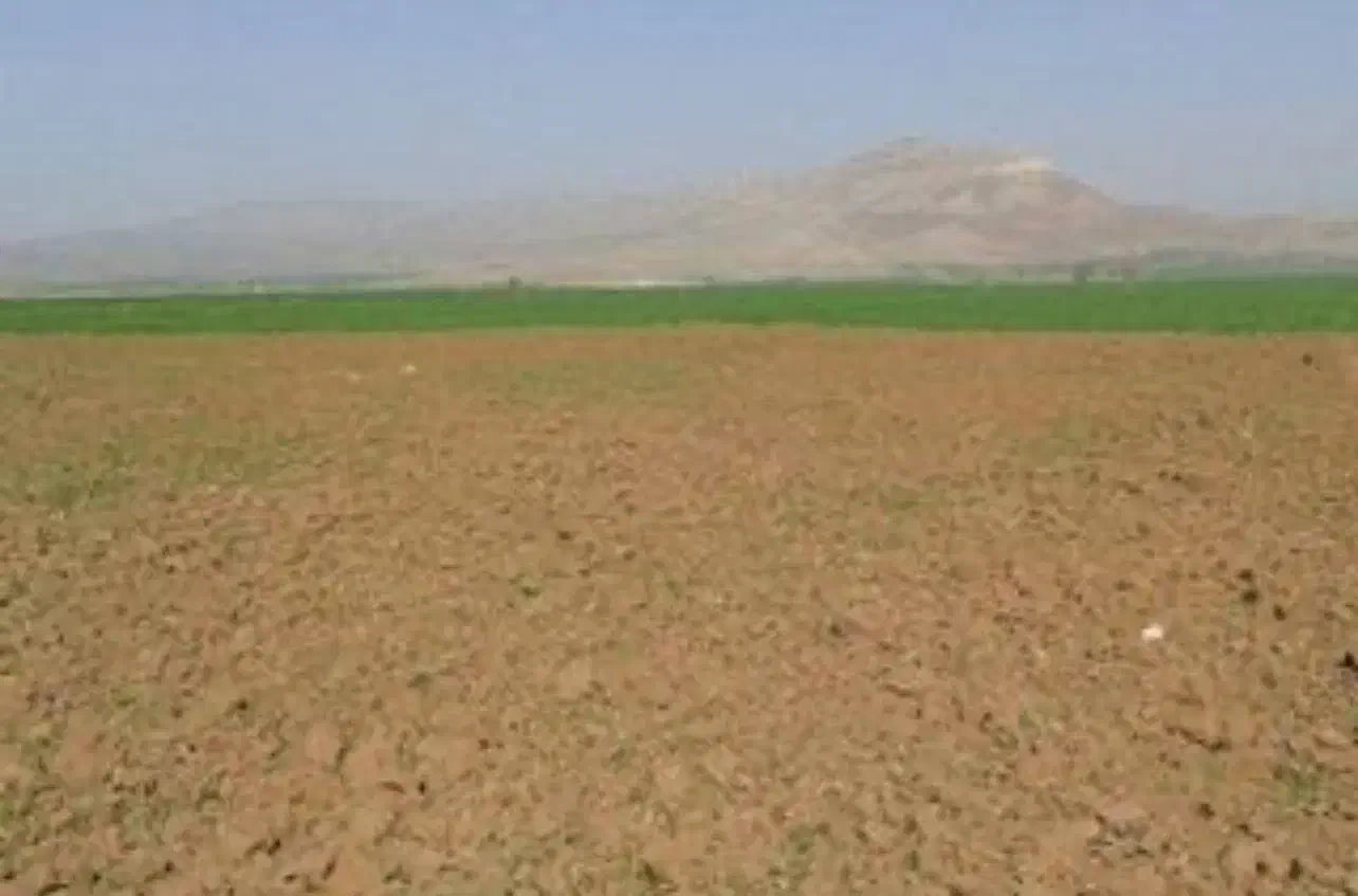 ۱۶۰۰۰متر زمین دیم ابهر جاده ابریشم برزابیل