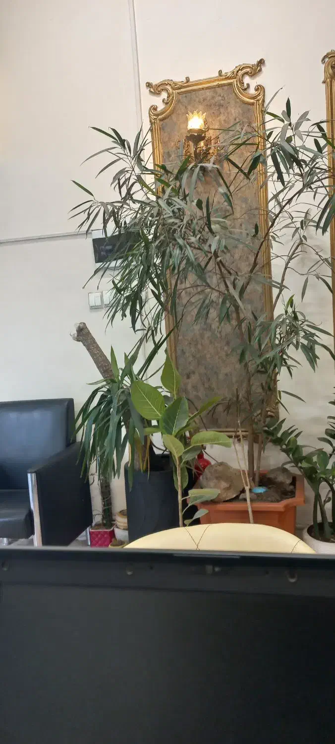 ۱۱۷ متر _ ۲ خواب _ هاشمیه