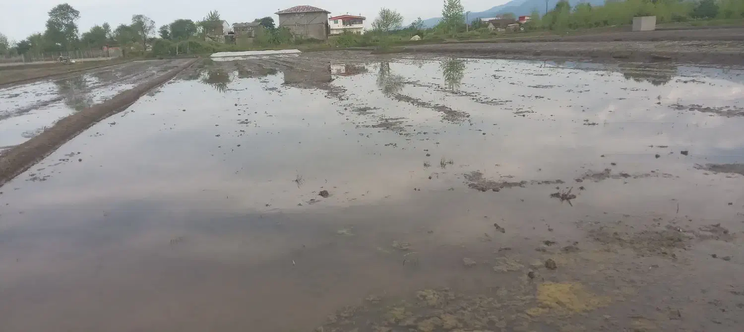 مزرعه کشاورزی در روستا
