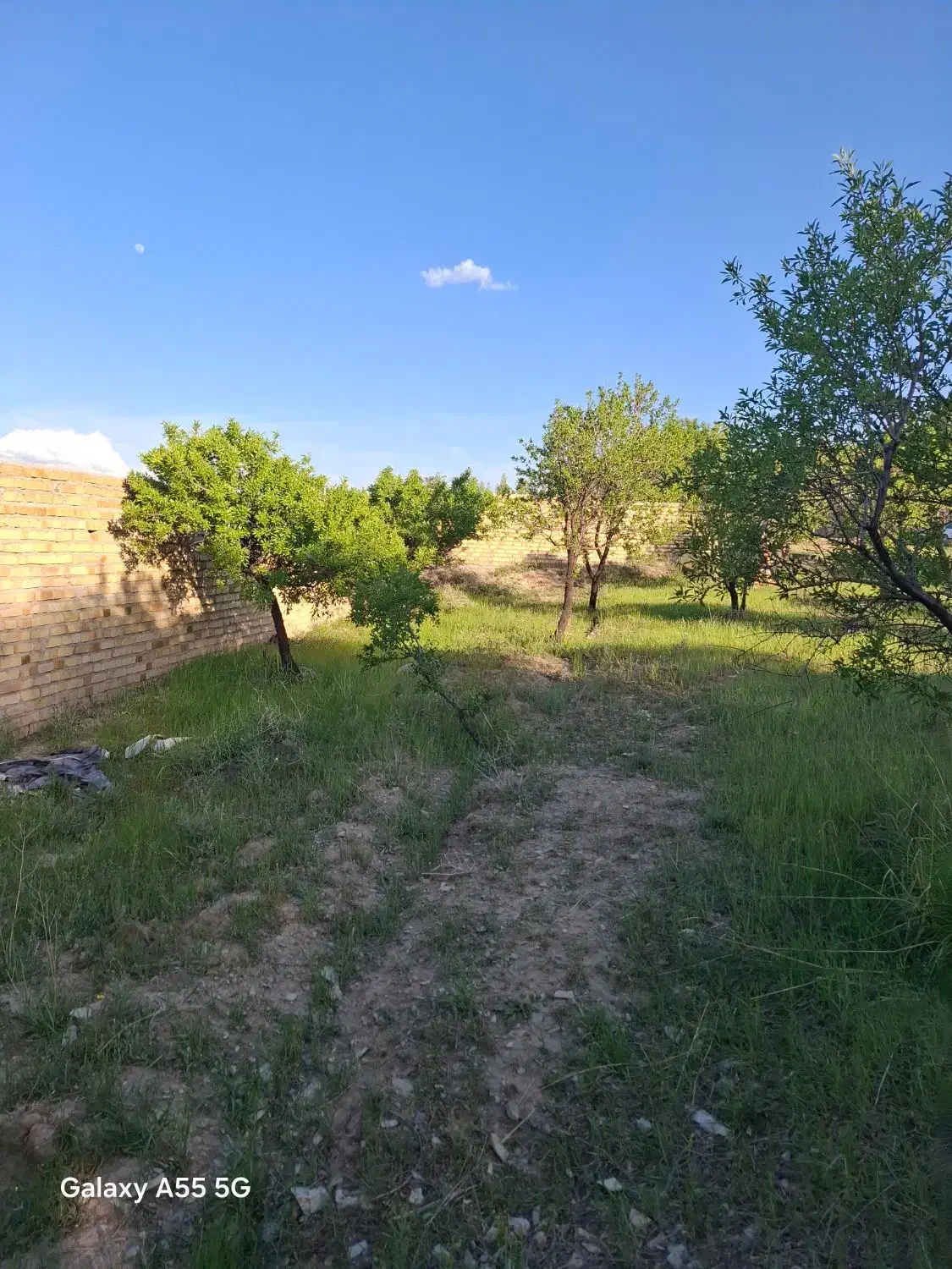 زمین مسکونی .باغی روستای اژدهاتو