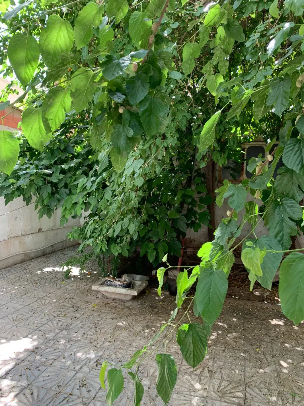 خانه ویلایی پل باغ صفا ( فردوسی )