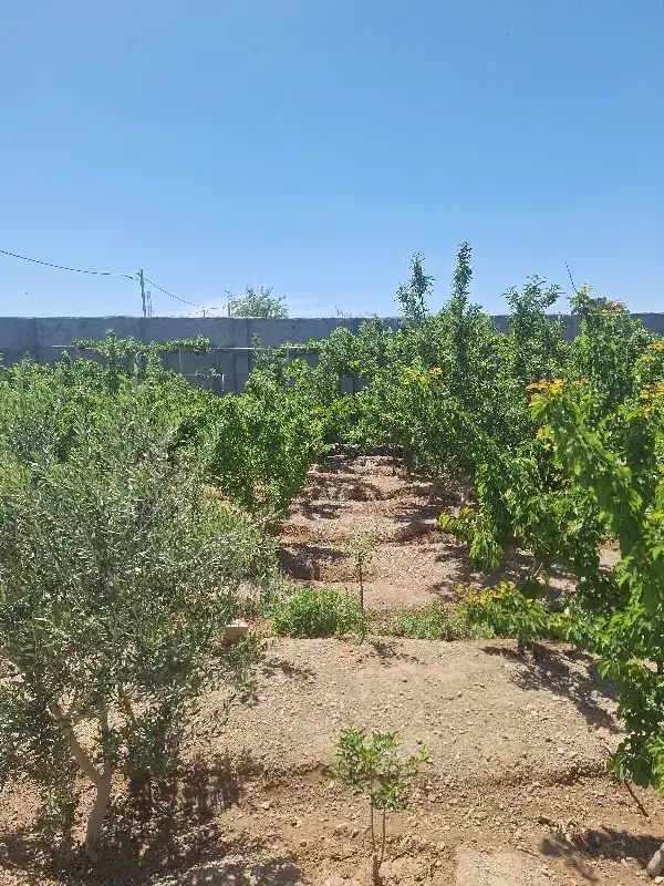 زمین کارکاهی اصغراباد