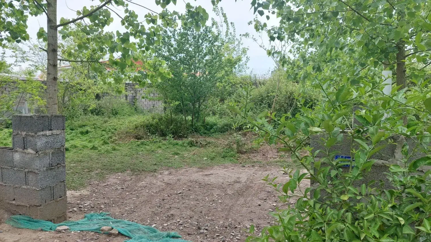 زمین مسکونی زیباکنار نوده