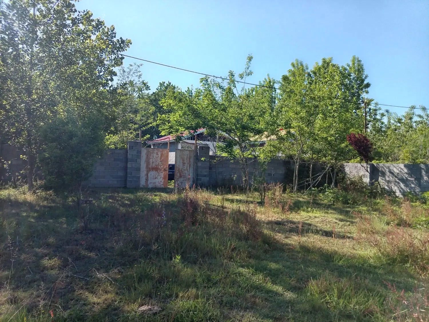 قطعه زمین باغی روستایی