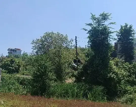 مسکونی سند دار