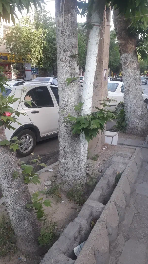 مغازه ۲۲ متری انقلاب مطهری