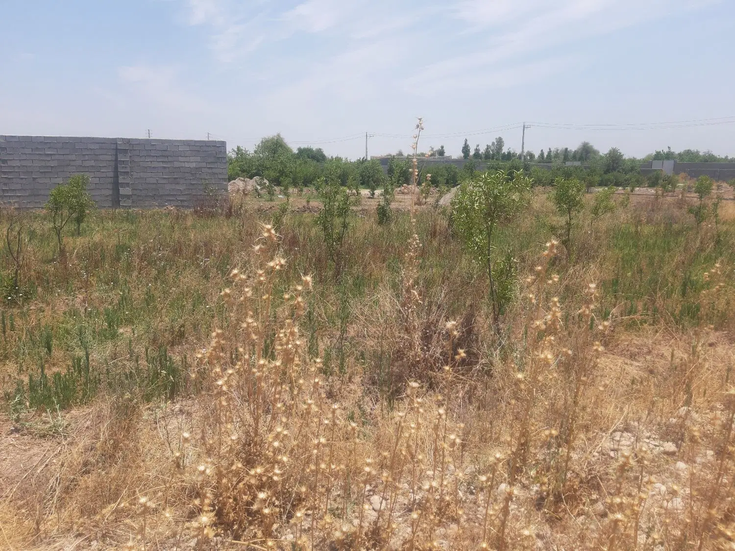 زمین ۵۰۰متری کوچه مرواید منطقه بن جعفر