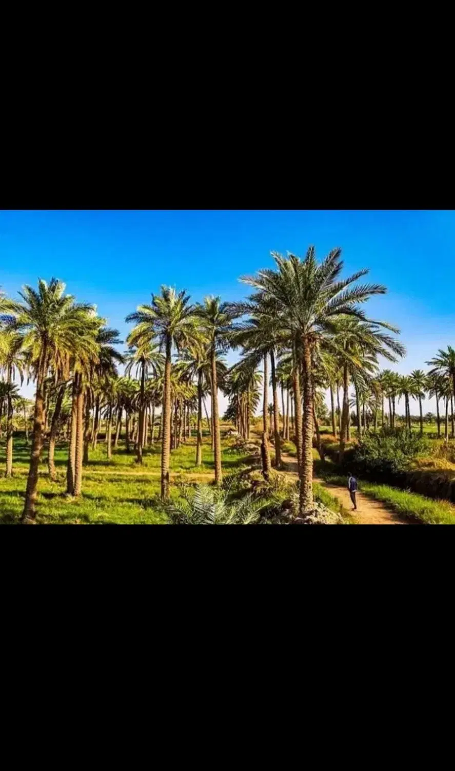 فروش زمین ۲۰۰ متر در مینوشهر