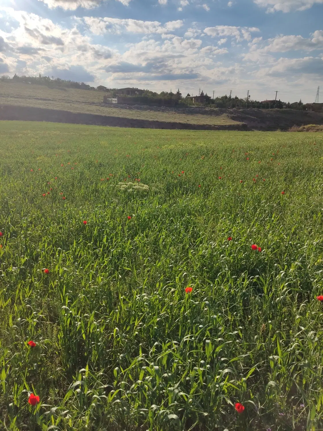 زمین باغ شهر علوم پزشکی دوهکتار