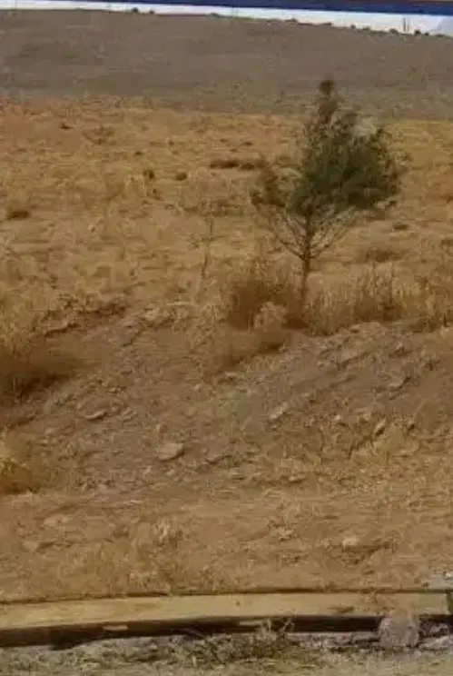 خانه کلنگی