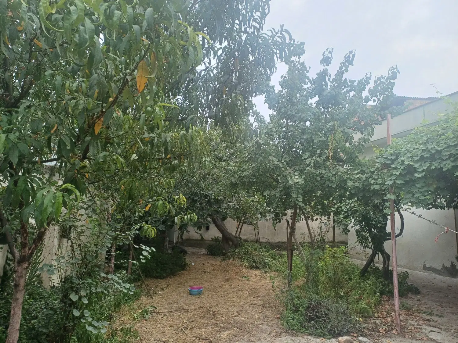 اجاره خونه ویلای