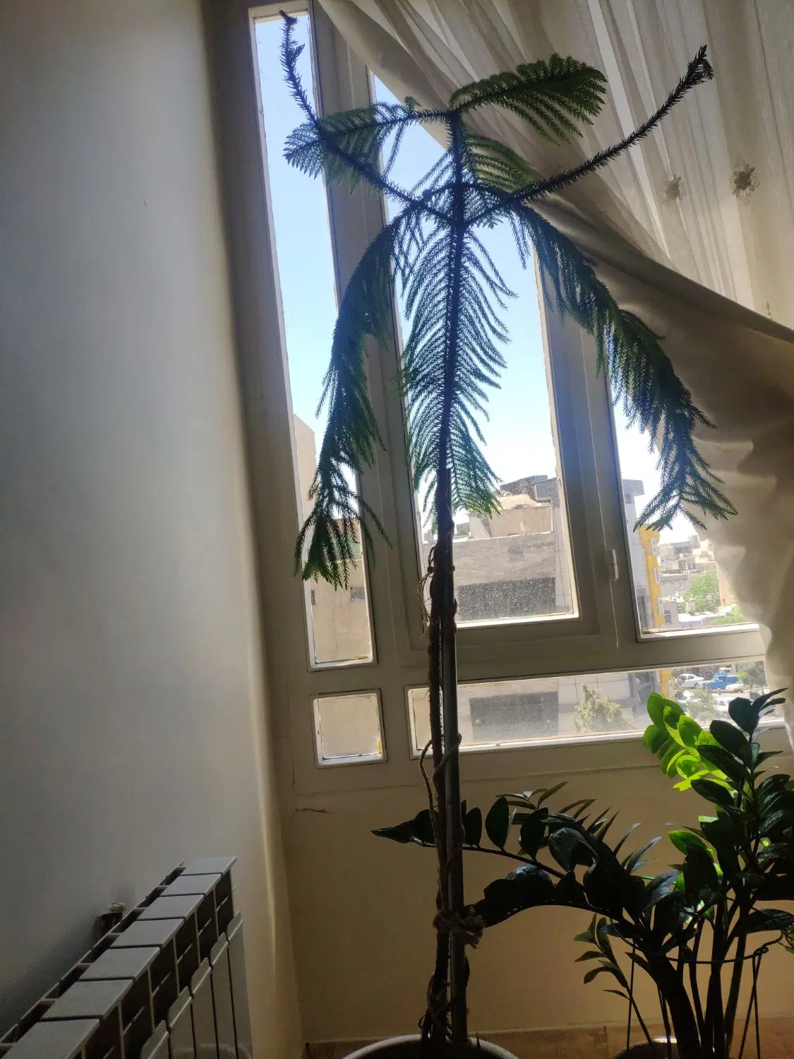 نواب ۲ خواب غرق نور ۱۰۰ متری