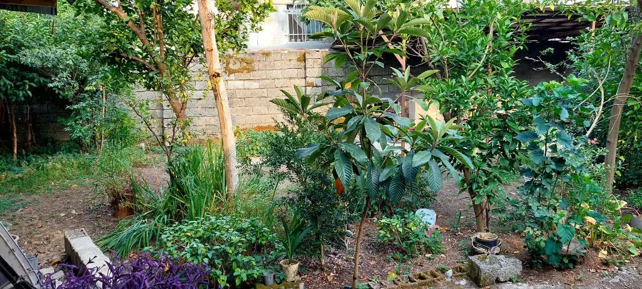 خانه باغ در مرکز شهر