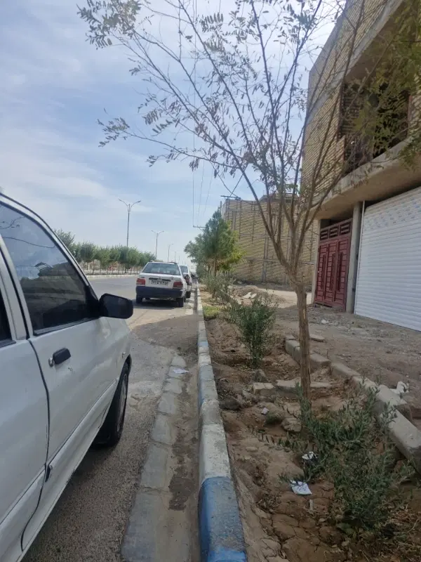 باغ و زمین
