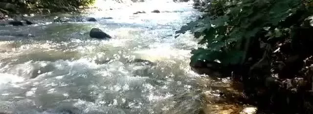 ویلا جنگلی کنار رودخانه