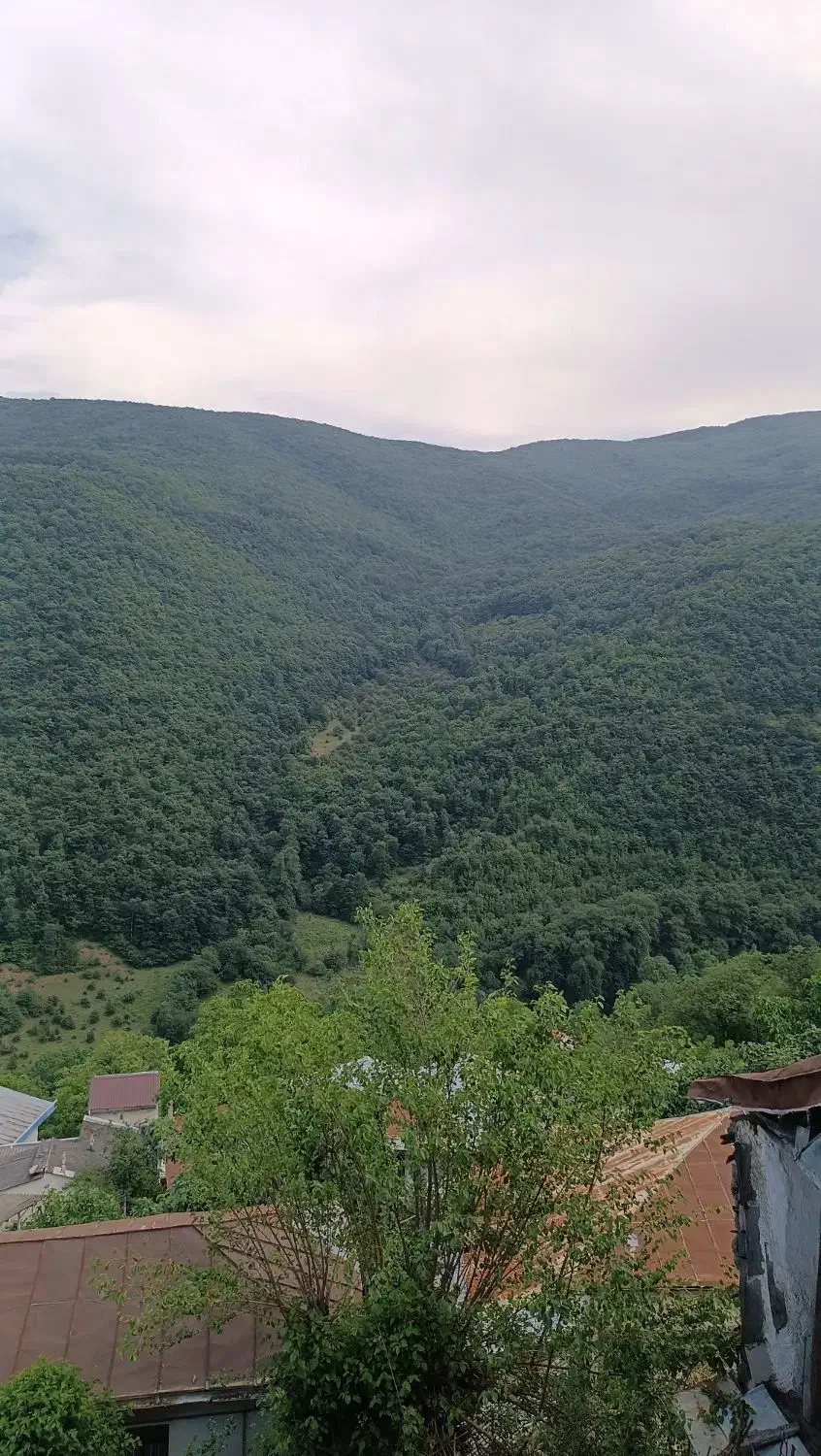 زمین ۵۰۰ متری_ دارای چشمه آب _ کلاردشت