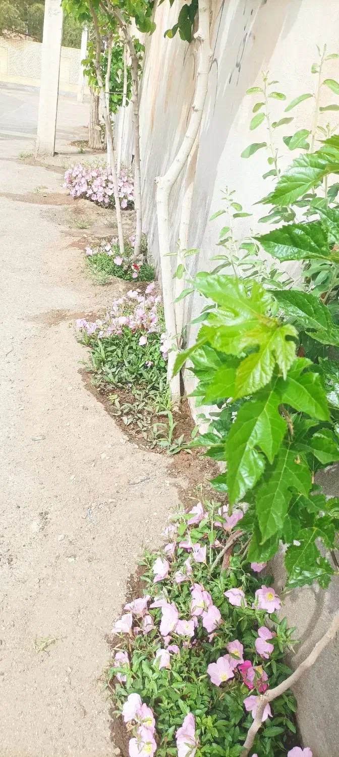 فروش خانه کلنگی فوری