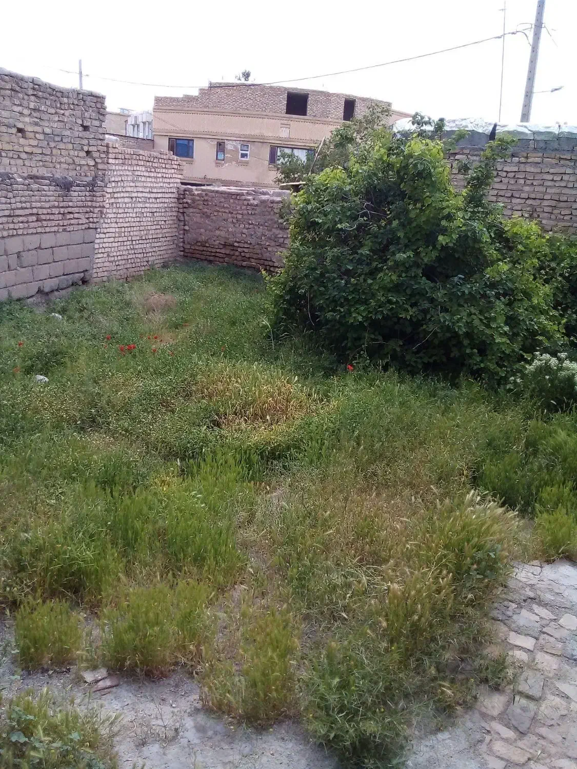 خانه وزمین۲۴۵متر دوممر