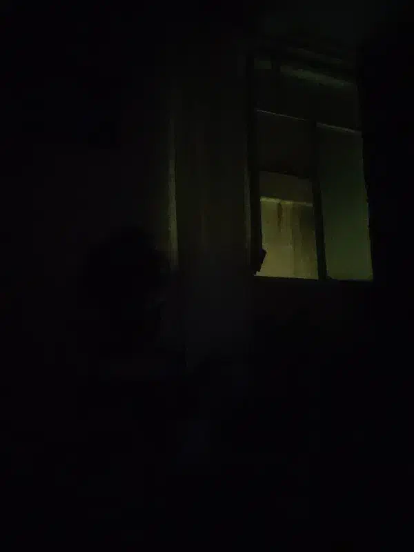 همخانه