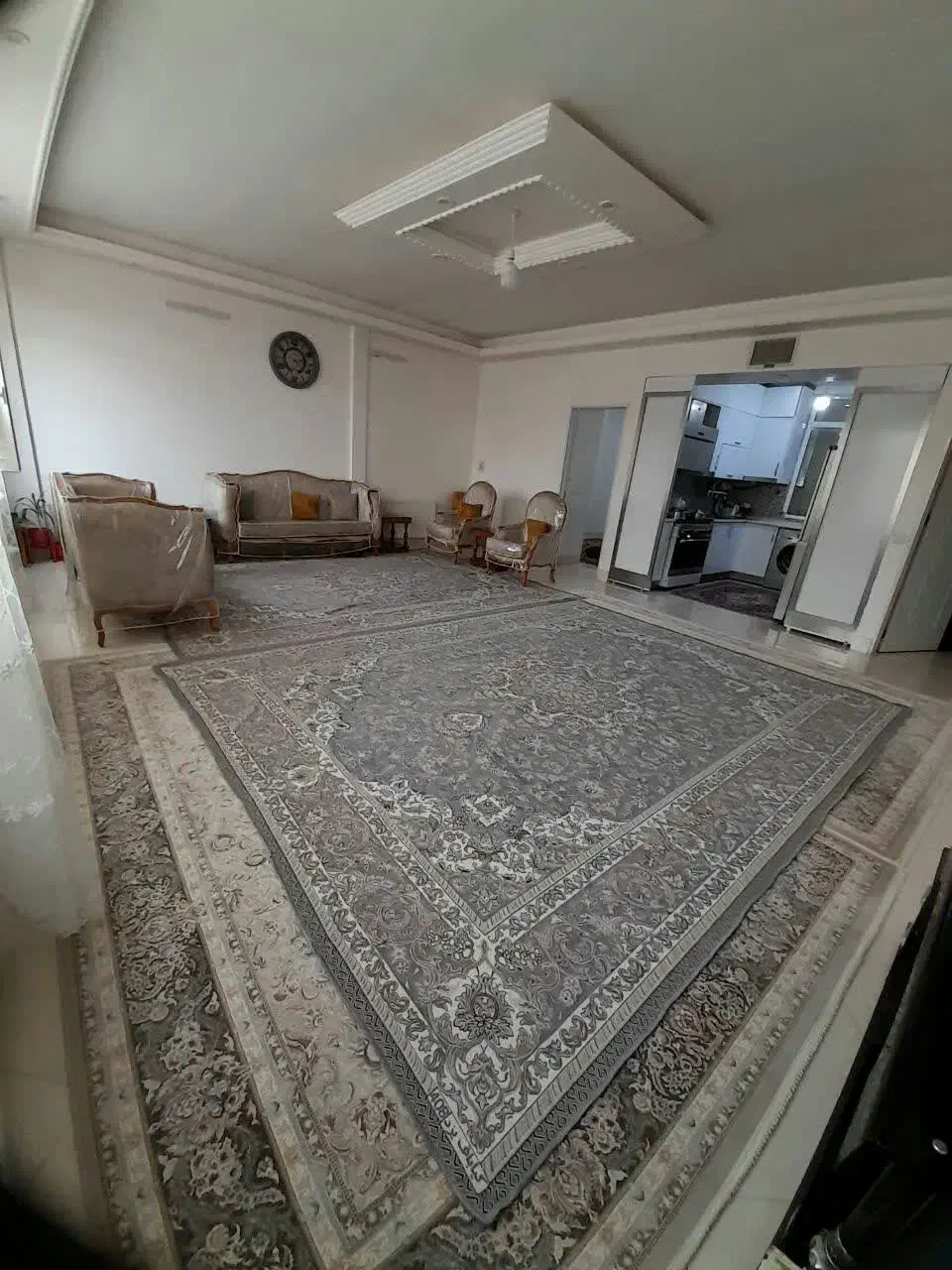 نوساز شیک.. فلکه حافظ غرویان 6