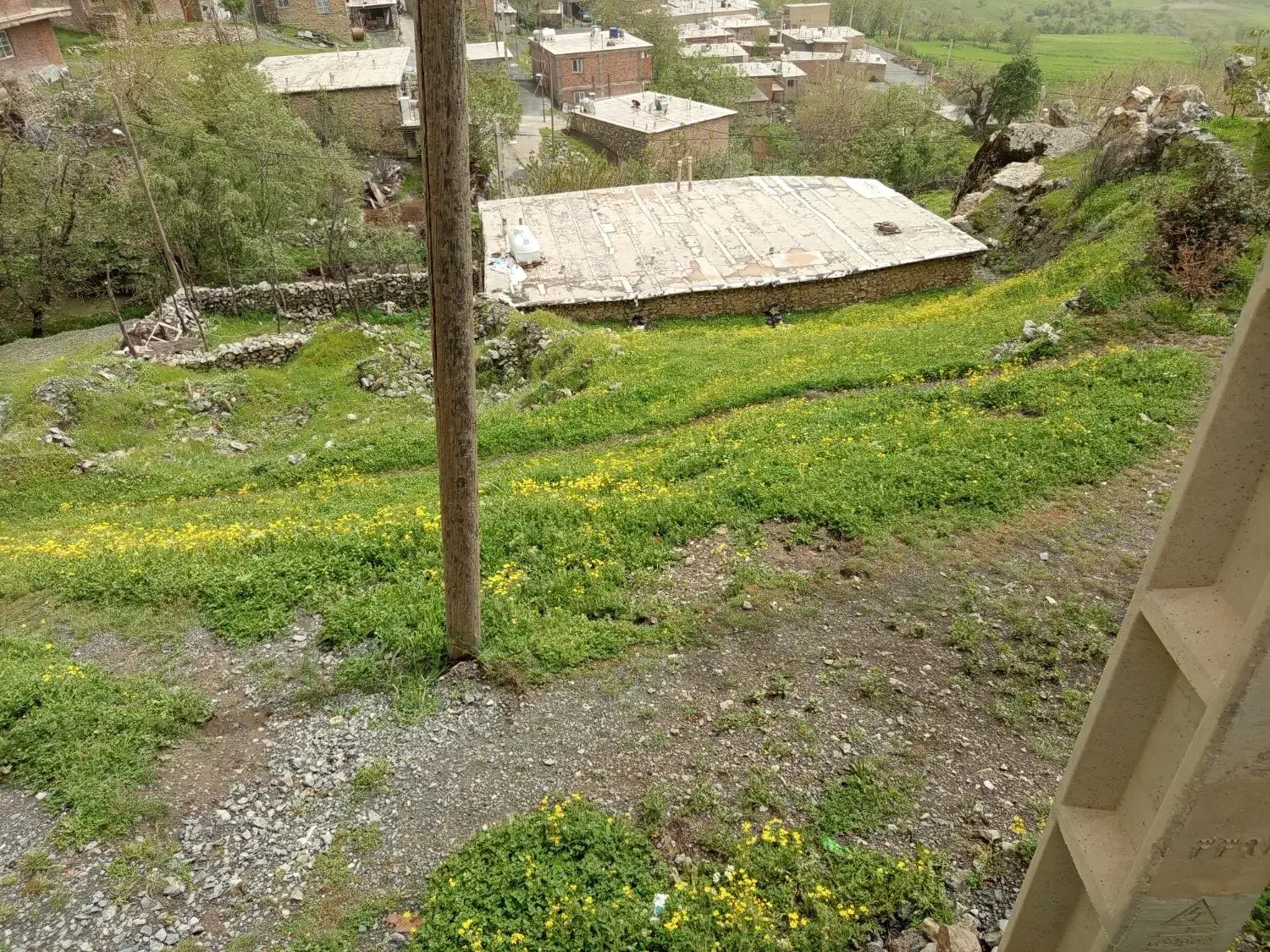 دوکانمان گره ک بواجاره