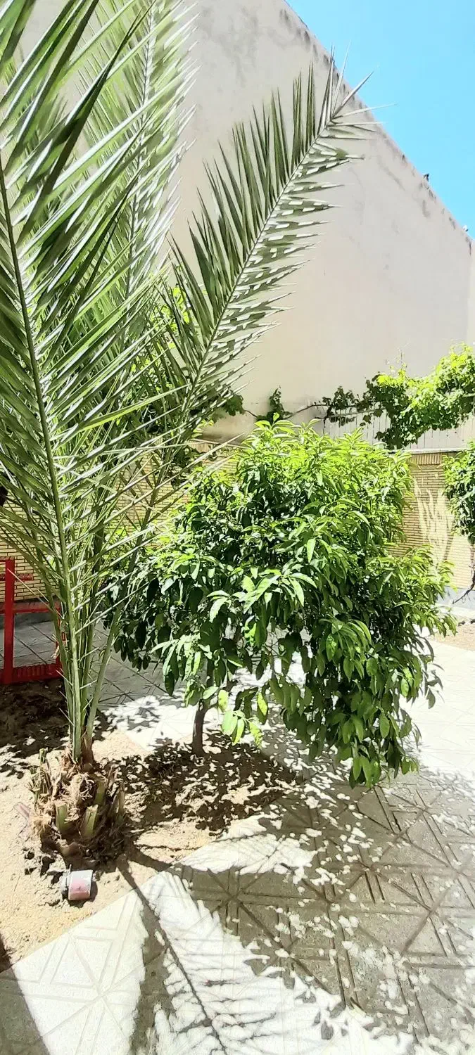 یک خواب مناسب کادر بیمارستان میلاد