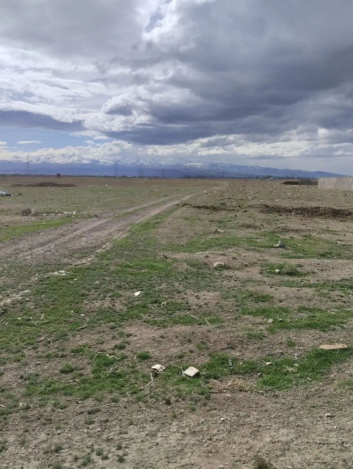 زمین مسکونی واقع در روستای علی بلاغی