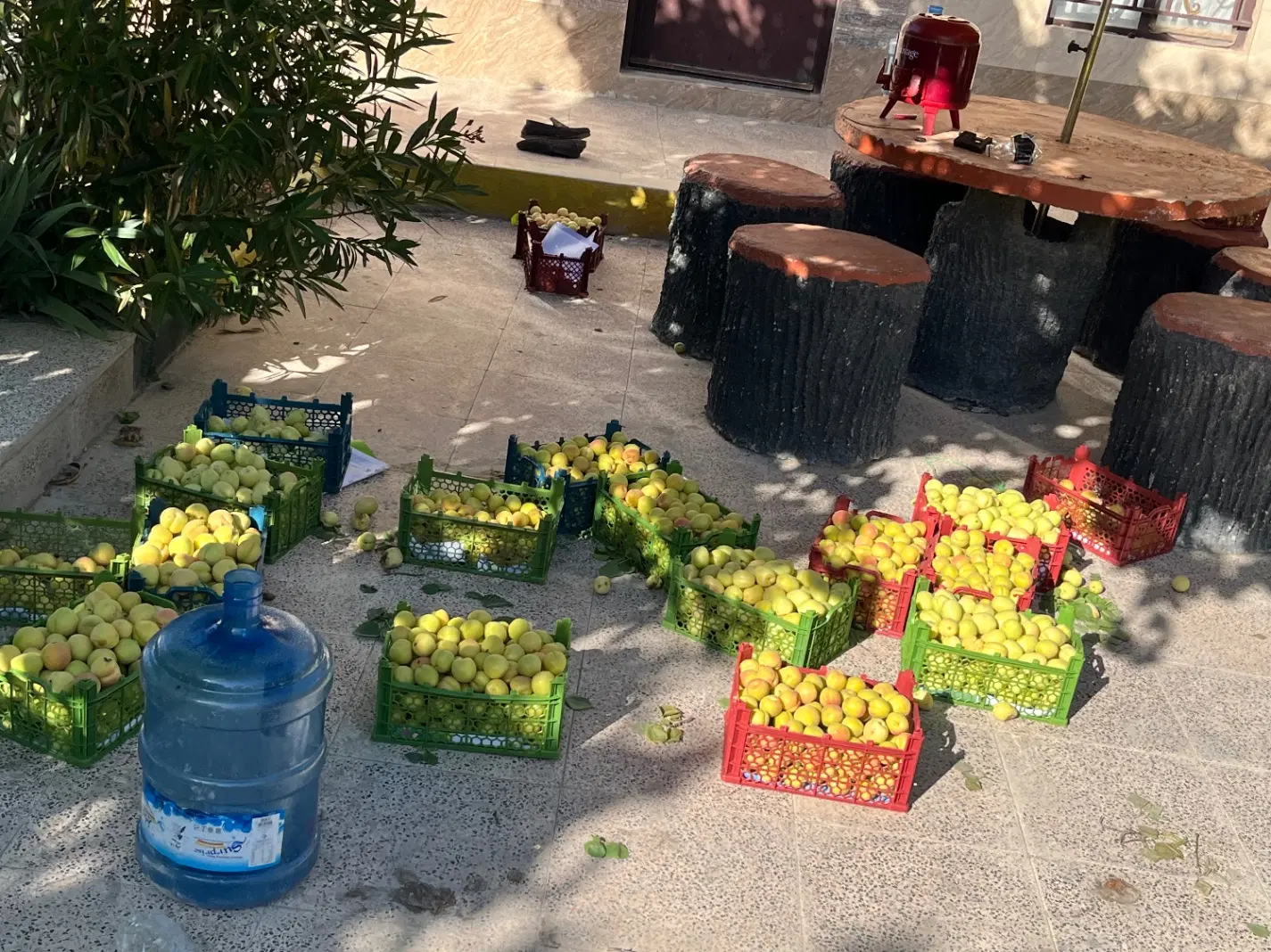 خونه باغ۱۰۰۰متری۴۰ساله زردالو غرب تهران تهاتر