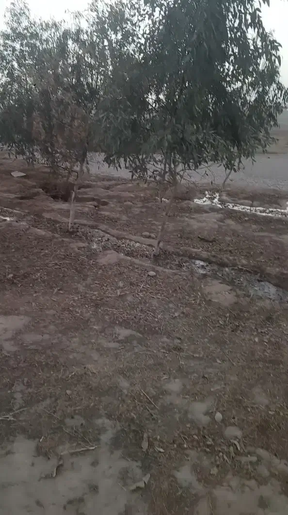 **فروش زمین**