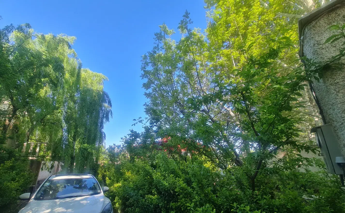 زمین با بنای کلنگی نوشهرمحدوده نجارده و خیرود کنار