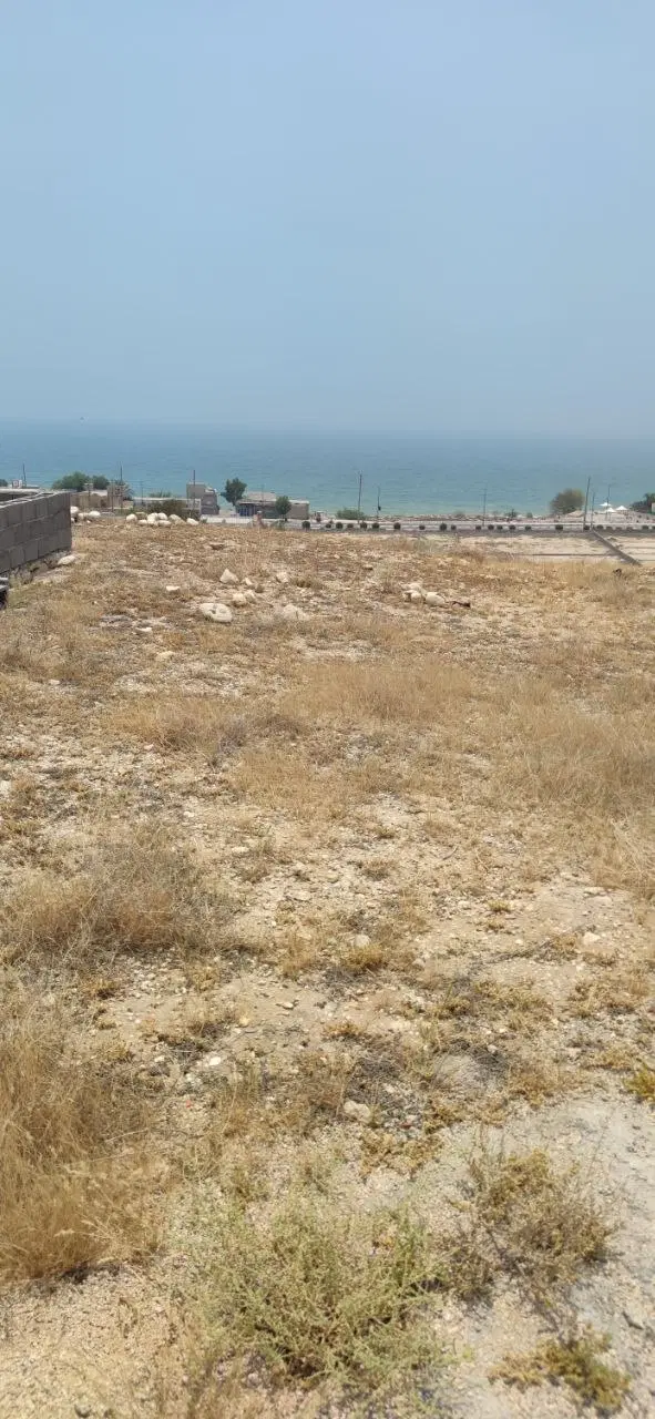 فروش زمین