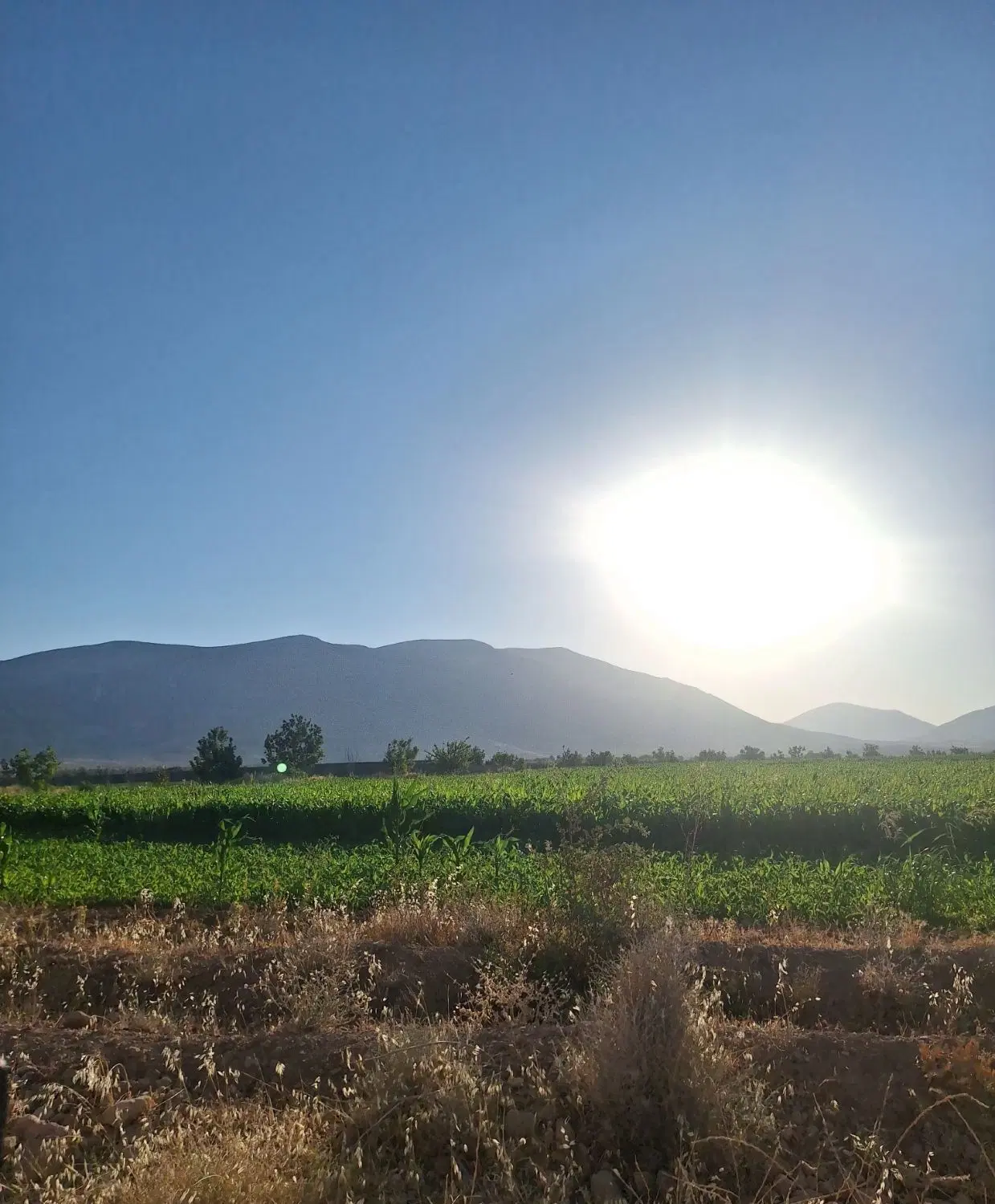 باغشهری ییلاق