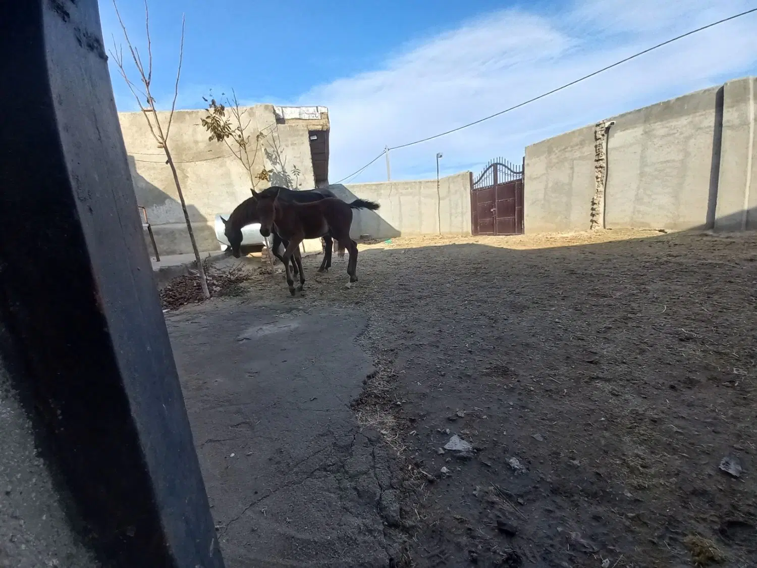 ملک ویلایی
