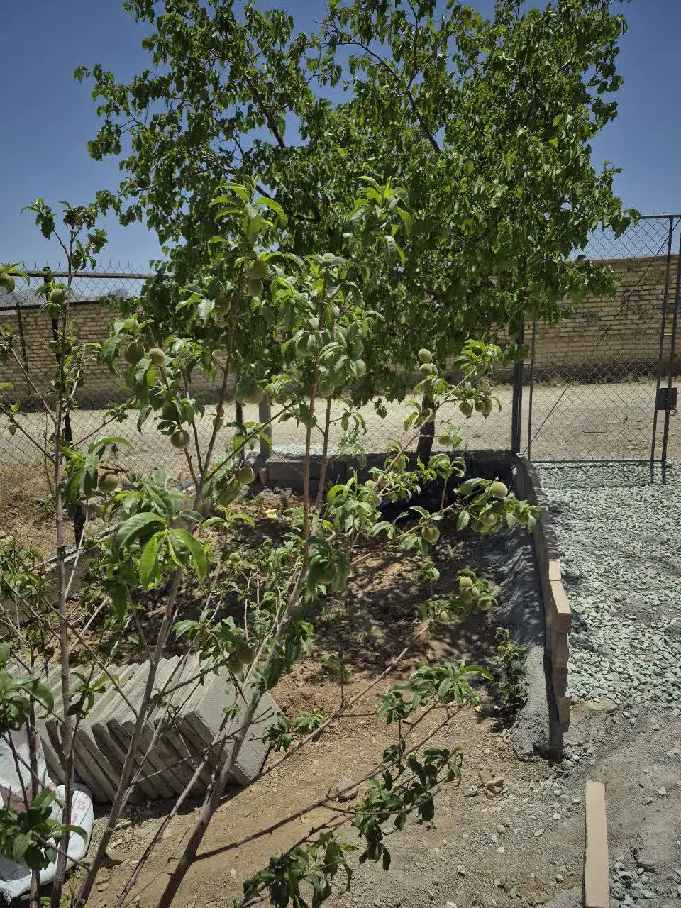 ۴۲۰ متر باغ واقع در جنب روستای گوار