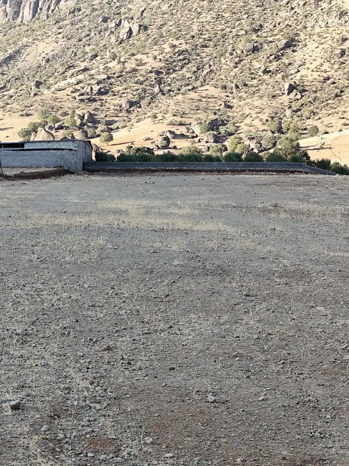 زمین باغدایی